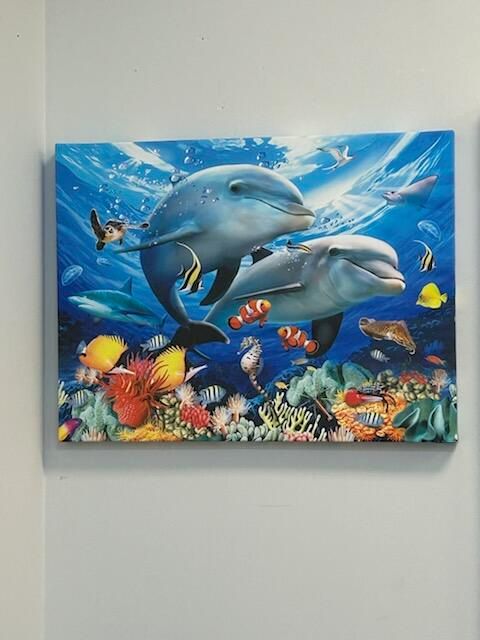 Dolphin Painting