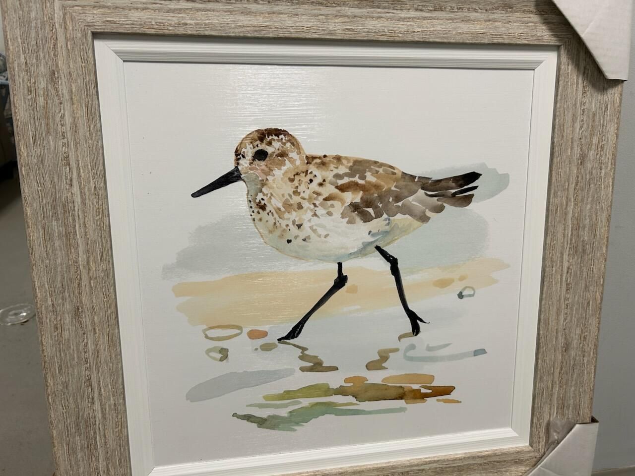 Speckled Sandpiper I 20 x 20