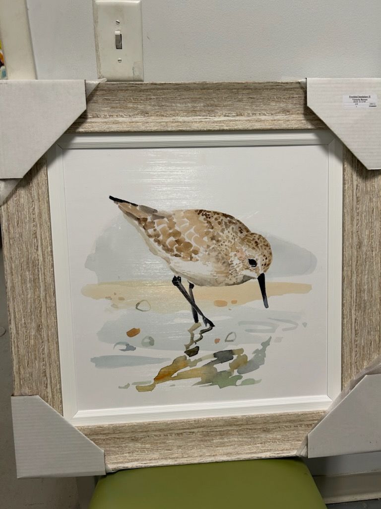 Speckled Sandpiper II 20x20