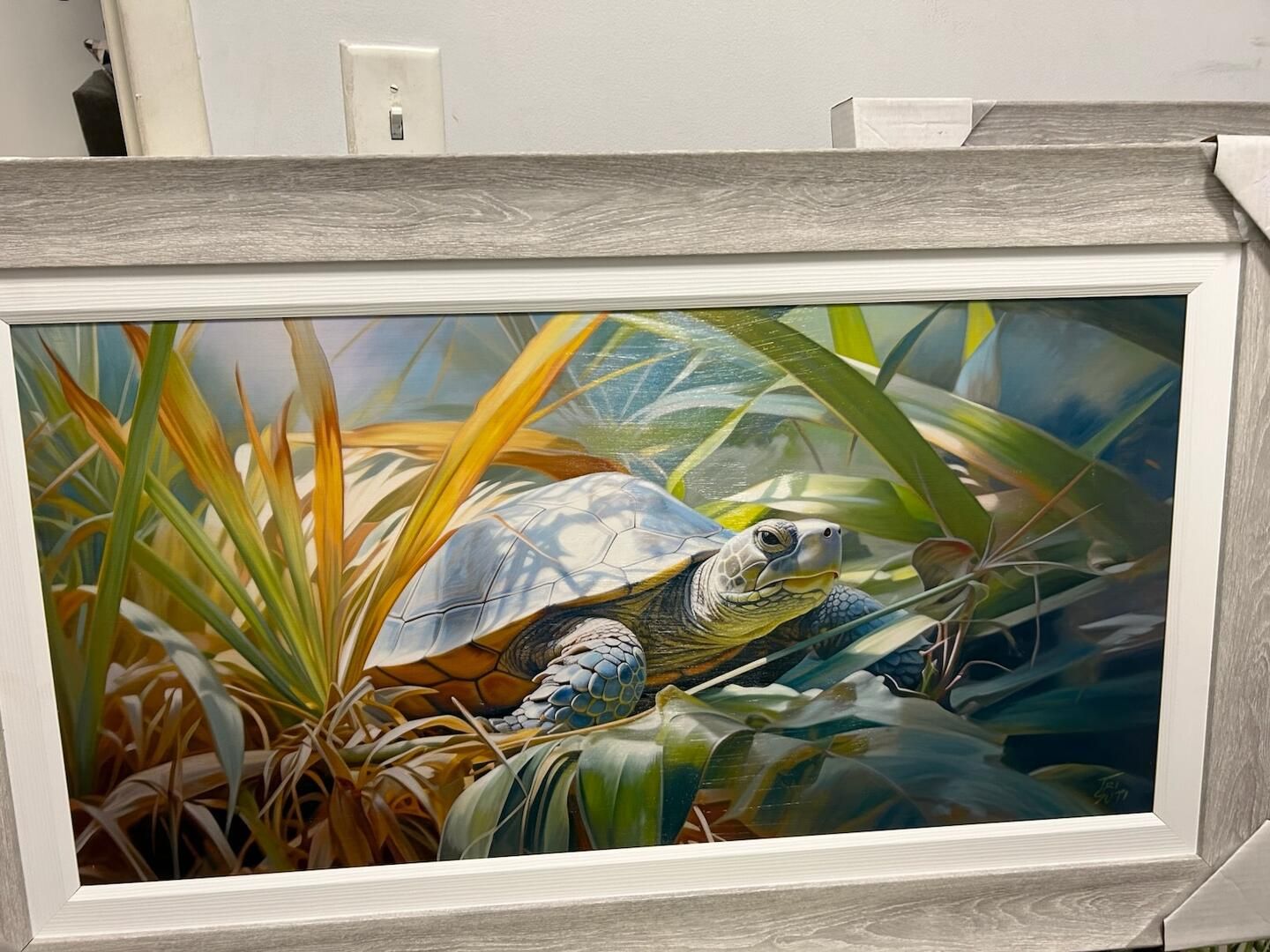 Slow and Steady II Turtle 20 x 40