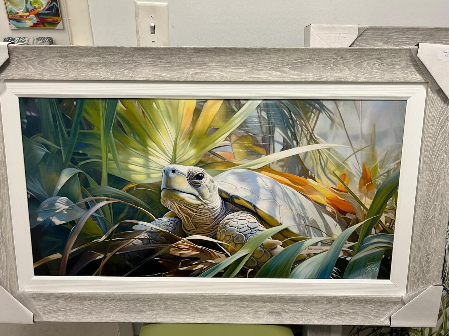 Slow and Steady I Turtle 20 x 40