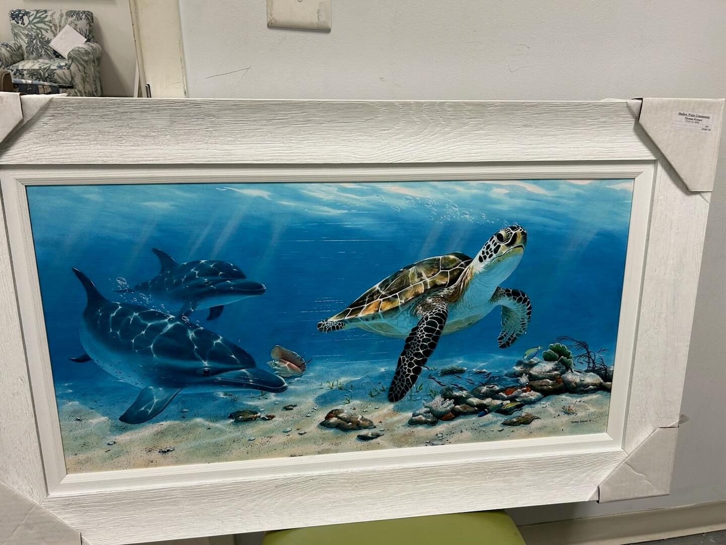 Shallow Water Companions Sea Turtle and Dolphins 17 x 34
