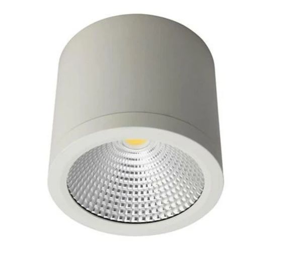 20W SURFACE MOUNT DOWNLIGHT CANISTER CCT WHITE
