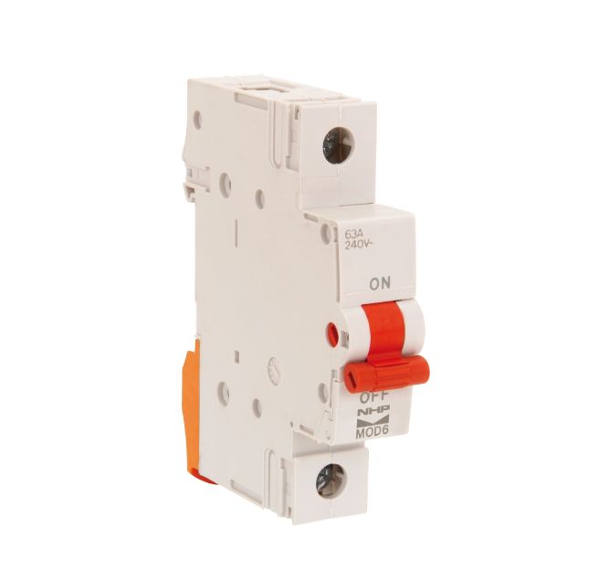 1 POLE MCB 100A 8kV MOD6 NHP