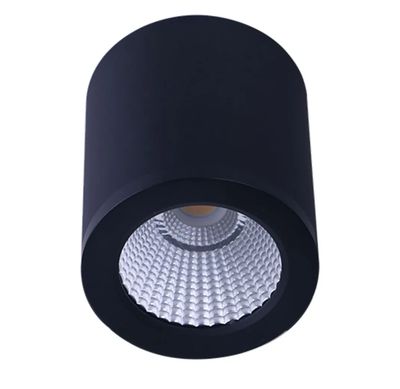 30W Propus Cannon Canister Surface Downlight Dimmable Black Aluminum Tri-Colour CCT DL3082/BK/TC