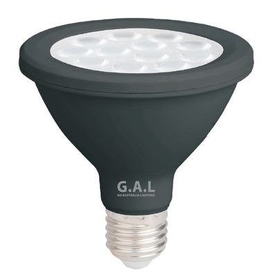 PAR30 LED Globe lamp bulb 6500k black frame