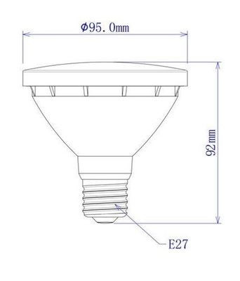 PAR30 LED Globe lamp bulb 6500k black frame