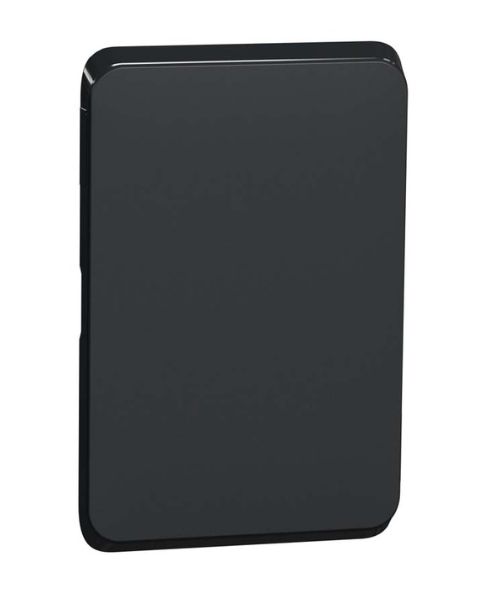 Clipsal Iconic Blank Skin Plate Extra Black 3040C-XB