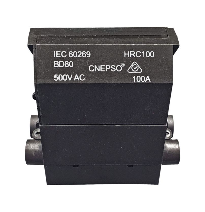 Back wired Service fuse with 80A cartridge SF80BW