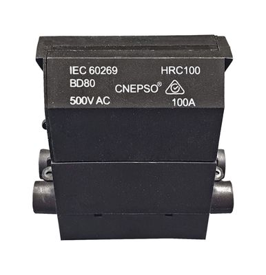 Back wired Service fuse with 80A cartridge SF80BW