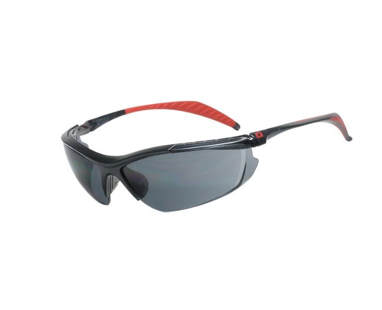 Anti Fog Anti Scratch Smoke Lens Safety Glasses Goggle EKA305-B