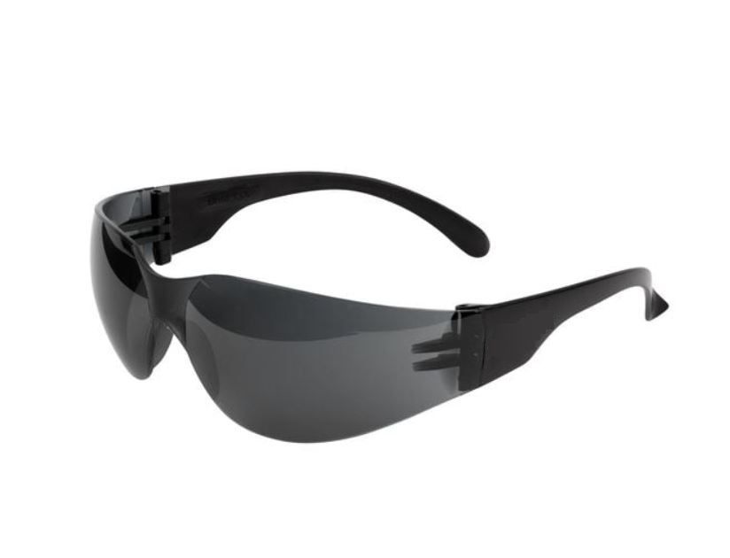 Smoke Lens Tinted Safety Glasses Goggle 30124334