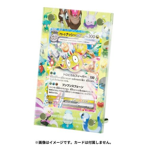 Pokémon Card Display Frame: Dragon Friends