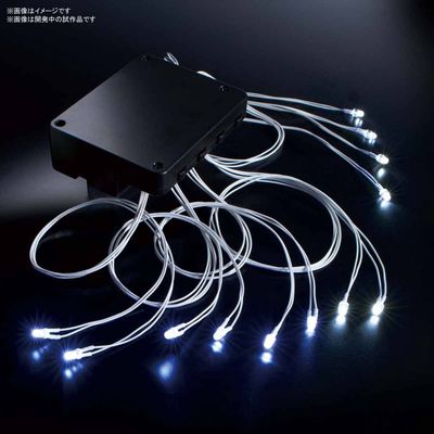LED Unit: 12-Light - White
