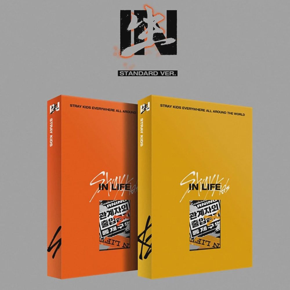 Stray Kids: 1st Album Repackage [IN生 (IN LIFE)]  - Random Standard ver.