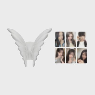 IVE: 2025 [SHOW WHAT I AM] - Wing Smart Tok