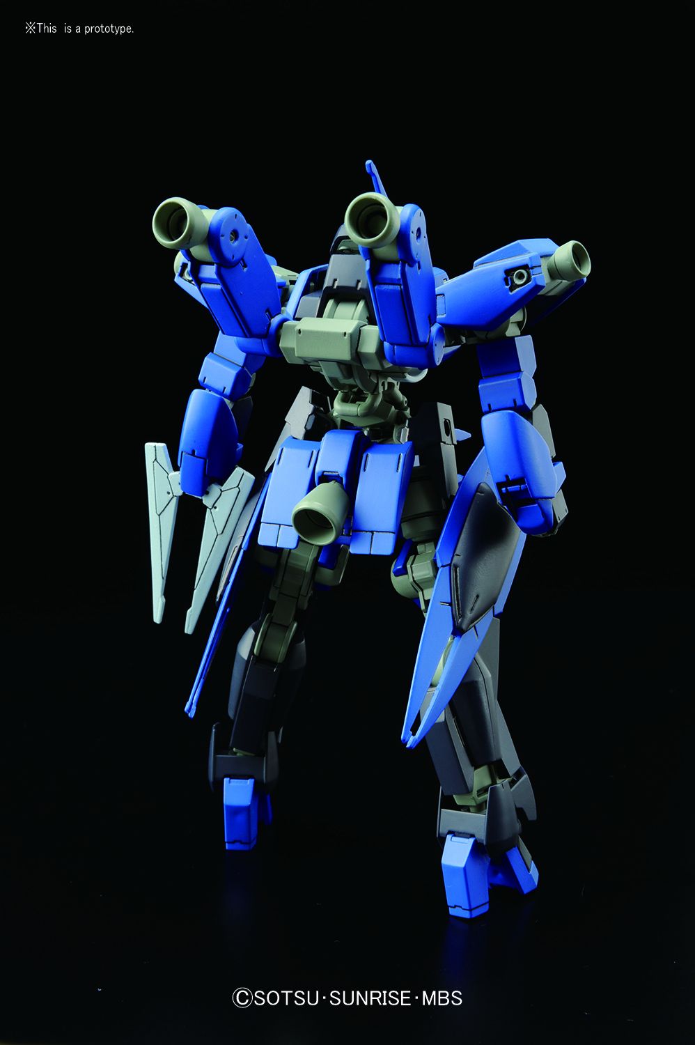 HG IBO McGillis Schwalbe Graze