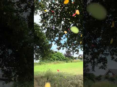 Confetti Cannon 15cm