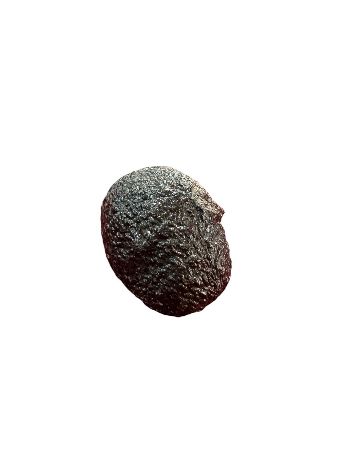 Aguacate mexicano