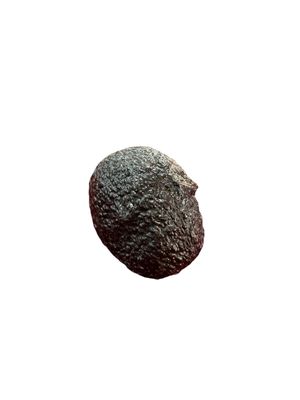 Aguacate mexicano
