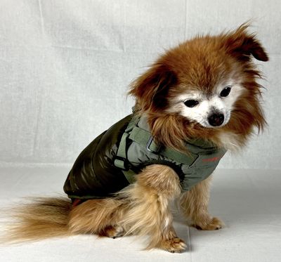 National Harness Coat - Khaki