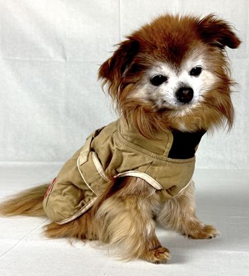 Hunting Coat Beige
