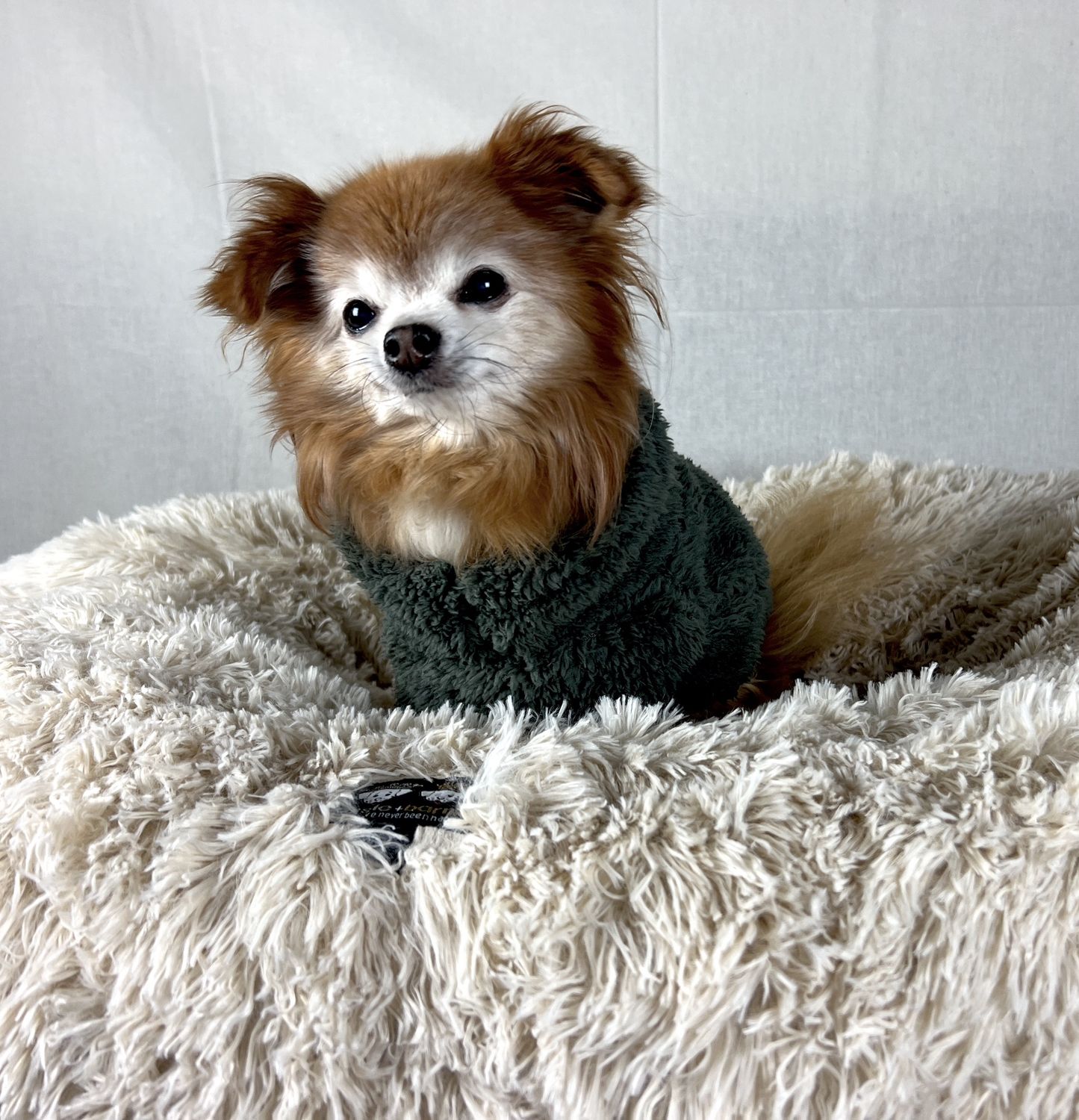 Bessie Barnie - Bagel Bed Blondie (small 76cm)