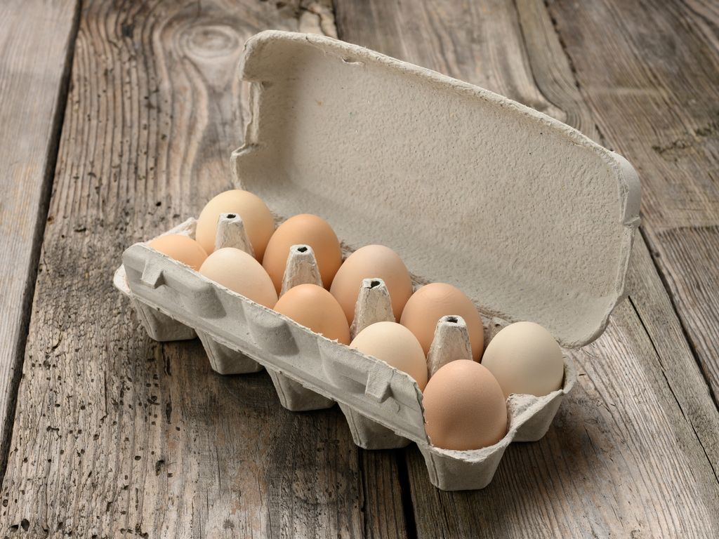 Pastured Eggs Pastured Eggs