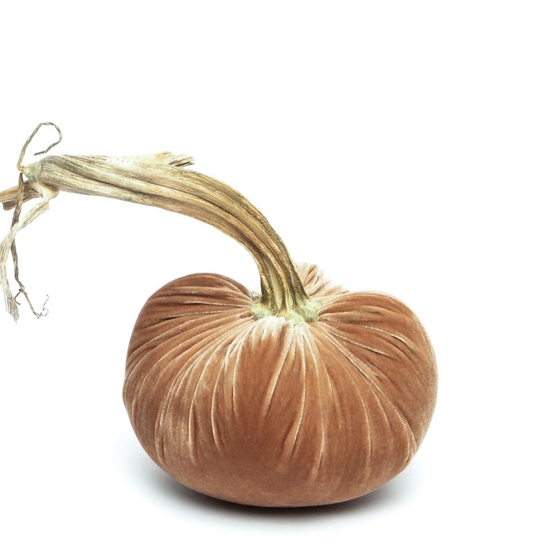 Hot Skwash - 3&quot; Velvet Pumpkin
