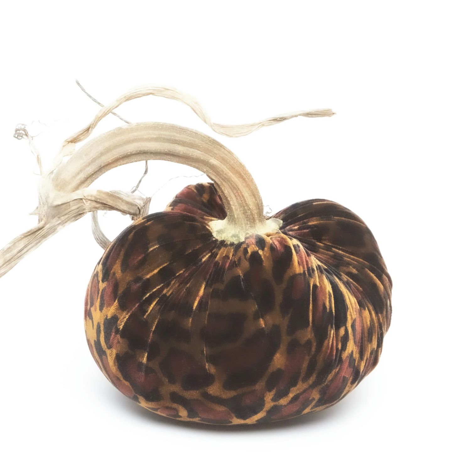 Hot Skwash -  11&quot; Jumbo Junior Pumpkin