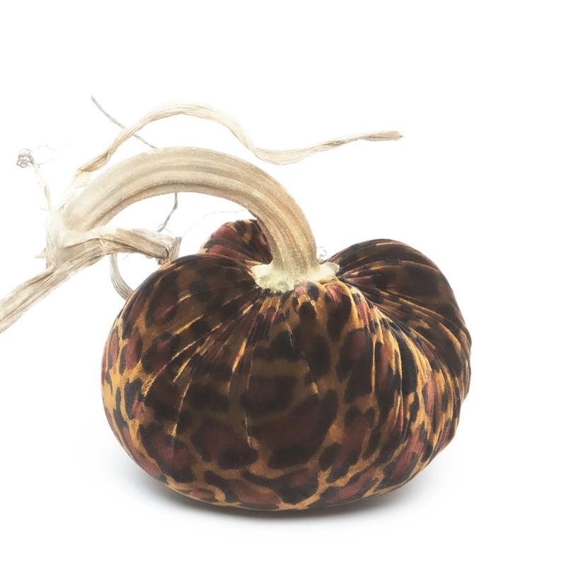 Hot Skwash -  11&quot; Jumbo Junior Pumpkin