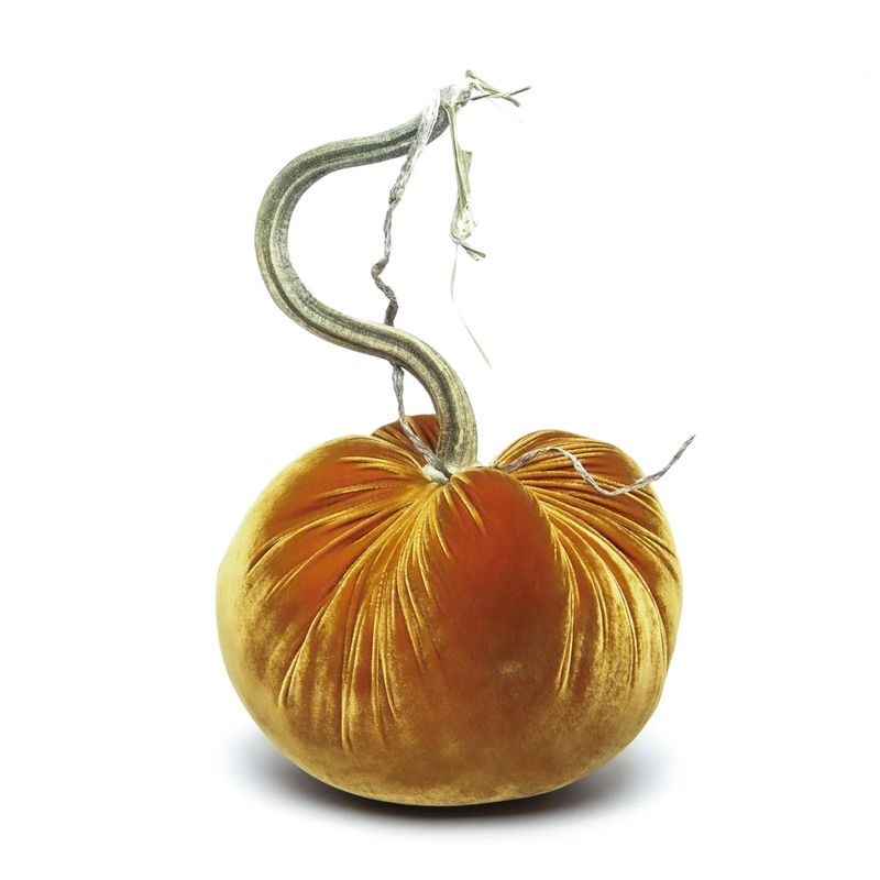 Hot Skwash - 5&quot; Pumpkin