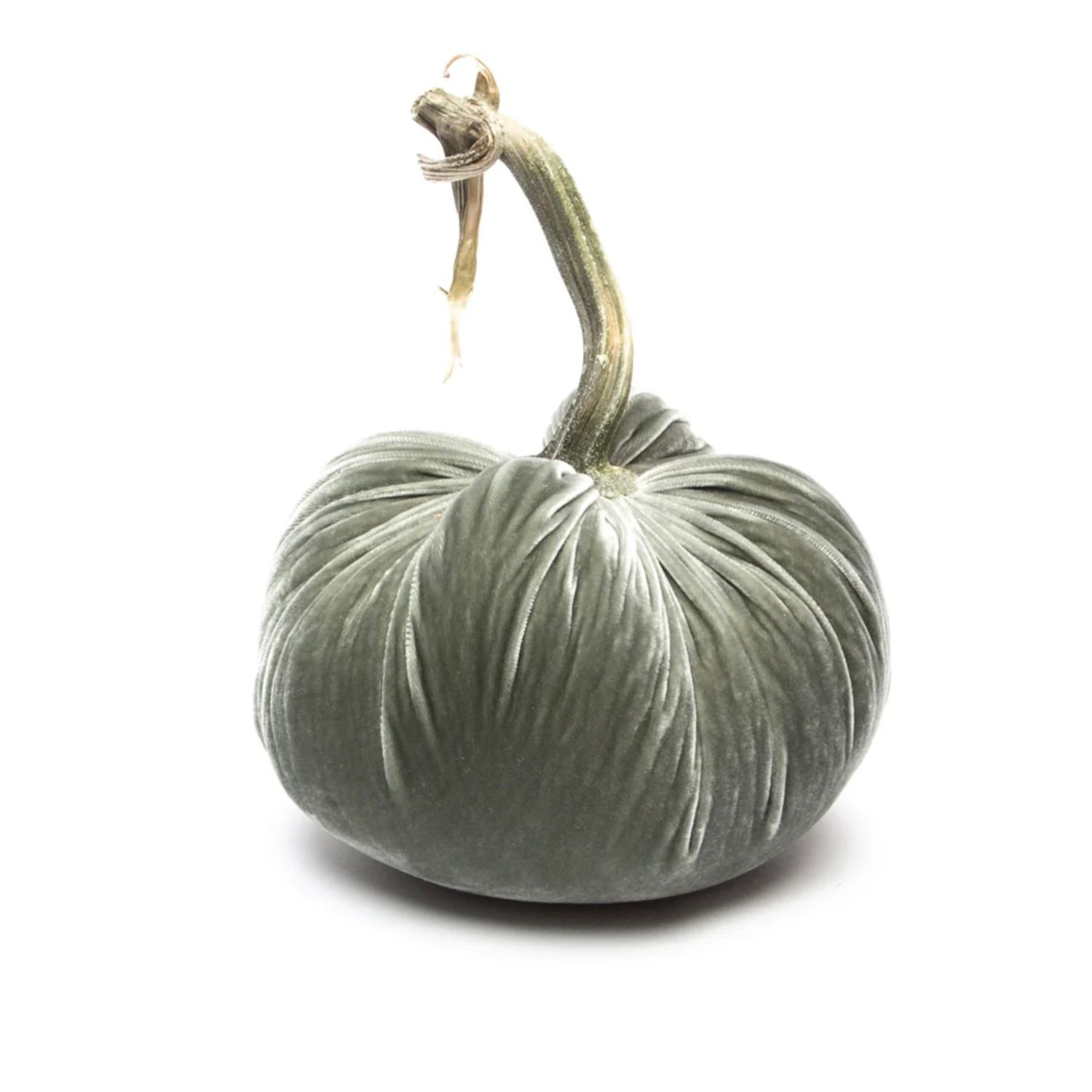 Hot Skwash - 10&quot; Velvet Pumpkin, Color: Willow