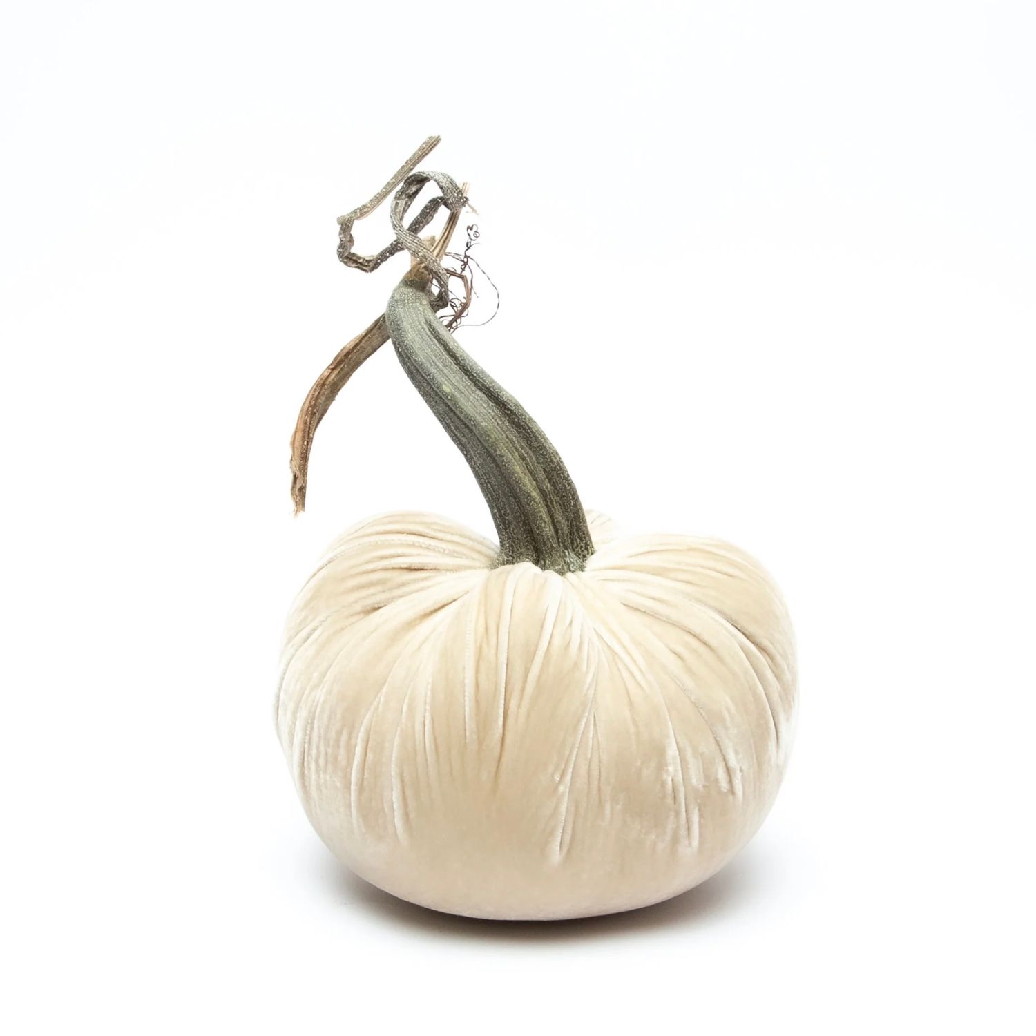 Hot Skwash - 4&quot; Velvet Pumpkin, Color: Cream
