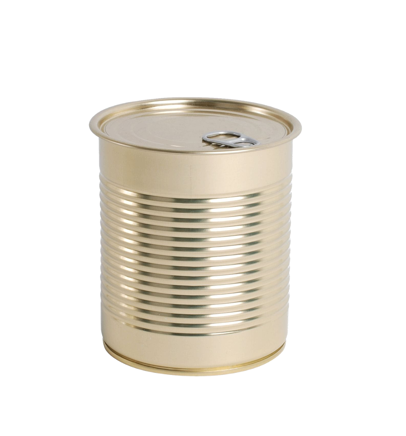 Boite de conserve D 73 x 109 Carton 70 pcs