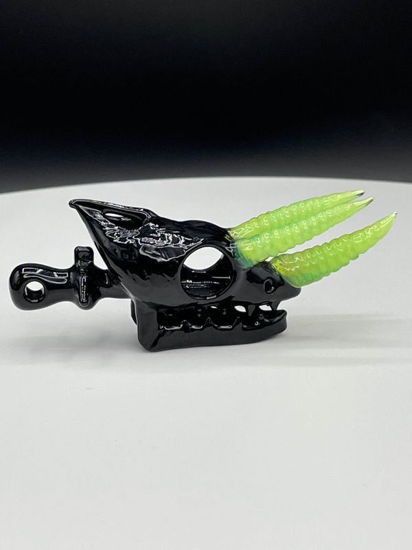 Akio - Jackson's Chameleon