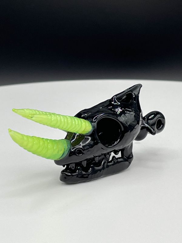 Akio - Jackson's Chameleon