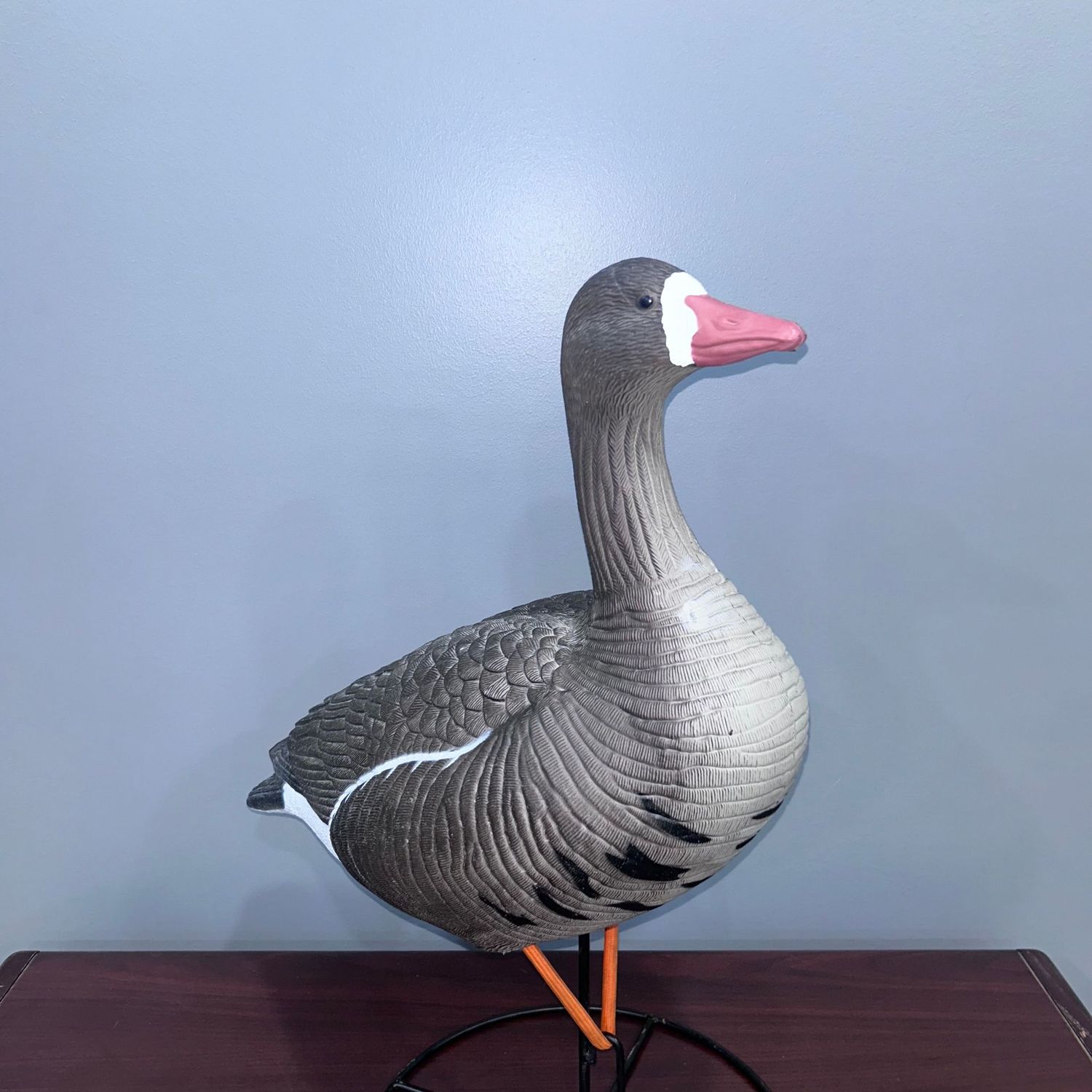 QLD Full Body Speckled Belly Decoy