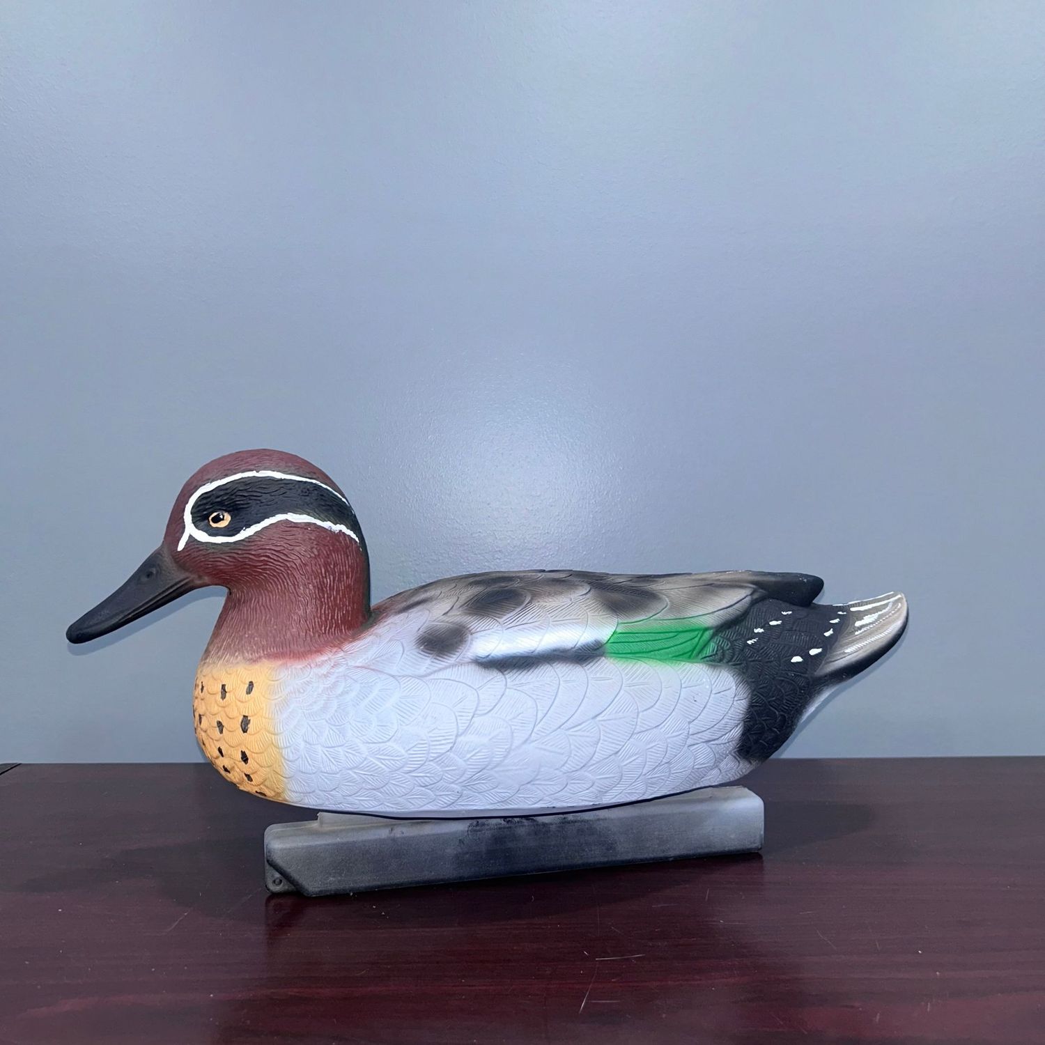 QLD Green Wing Teal Decoy