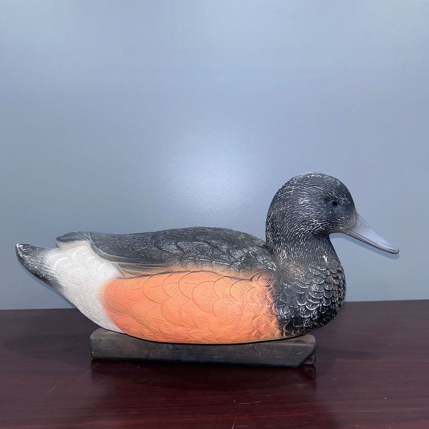 QLD Widgeon Decoys