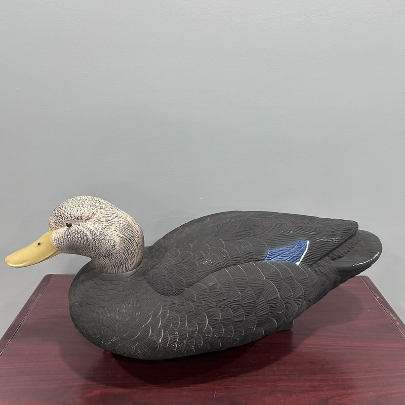 QLD Jumbo Black Ducks/Hens with Mallard Drakes