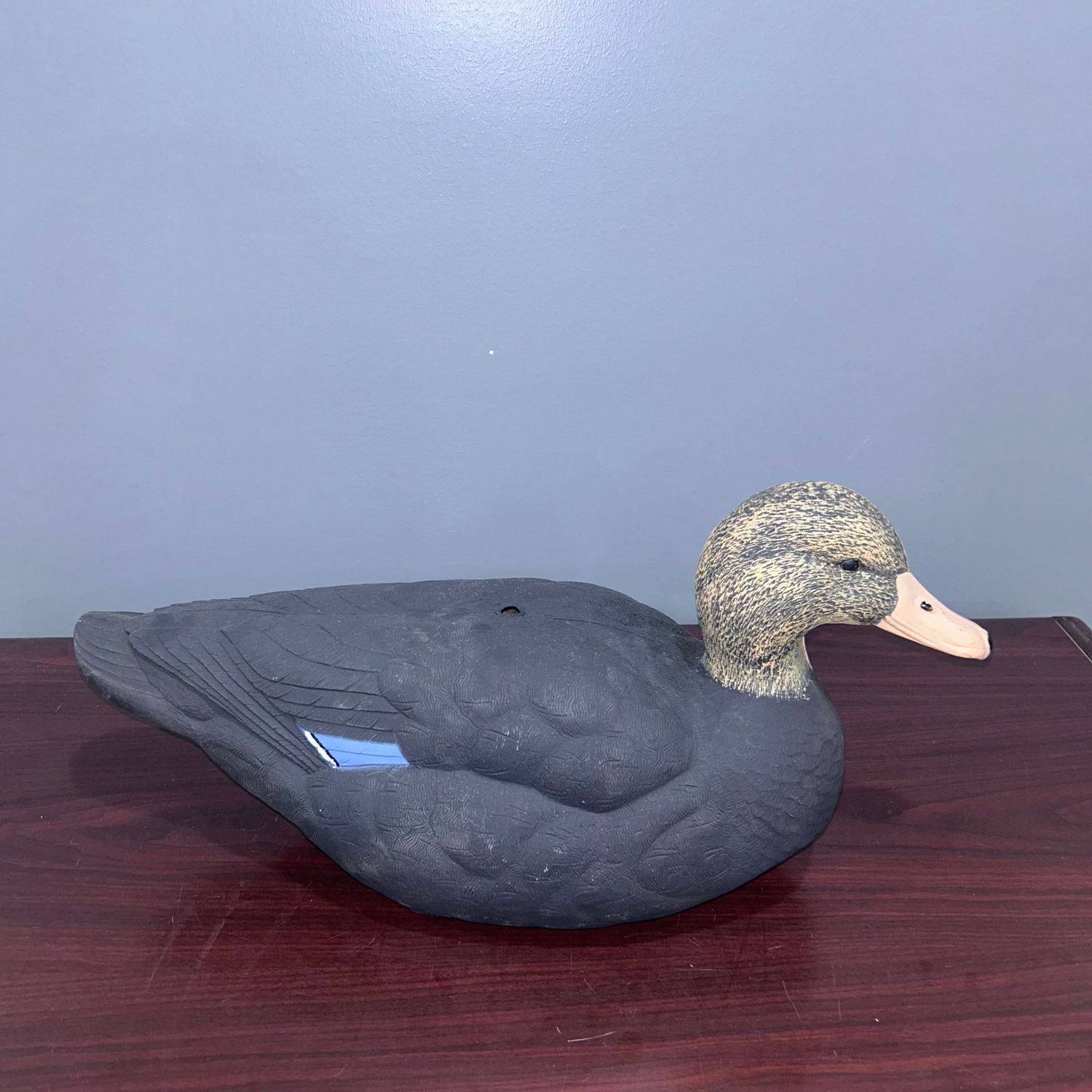 QLD Field Decoys