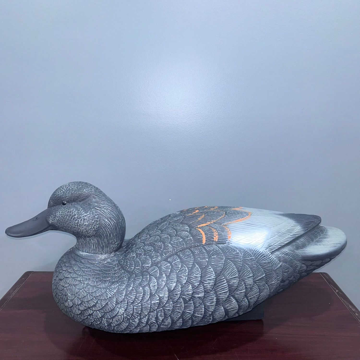 QLD Jumbo Gadwalls