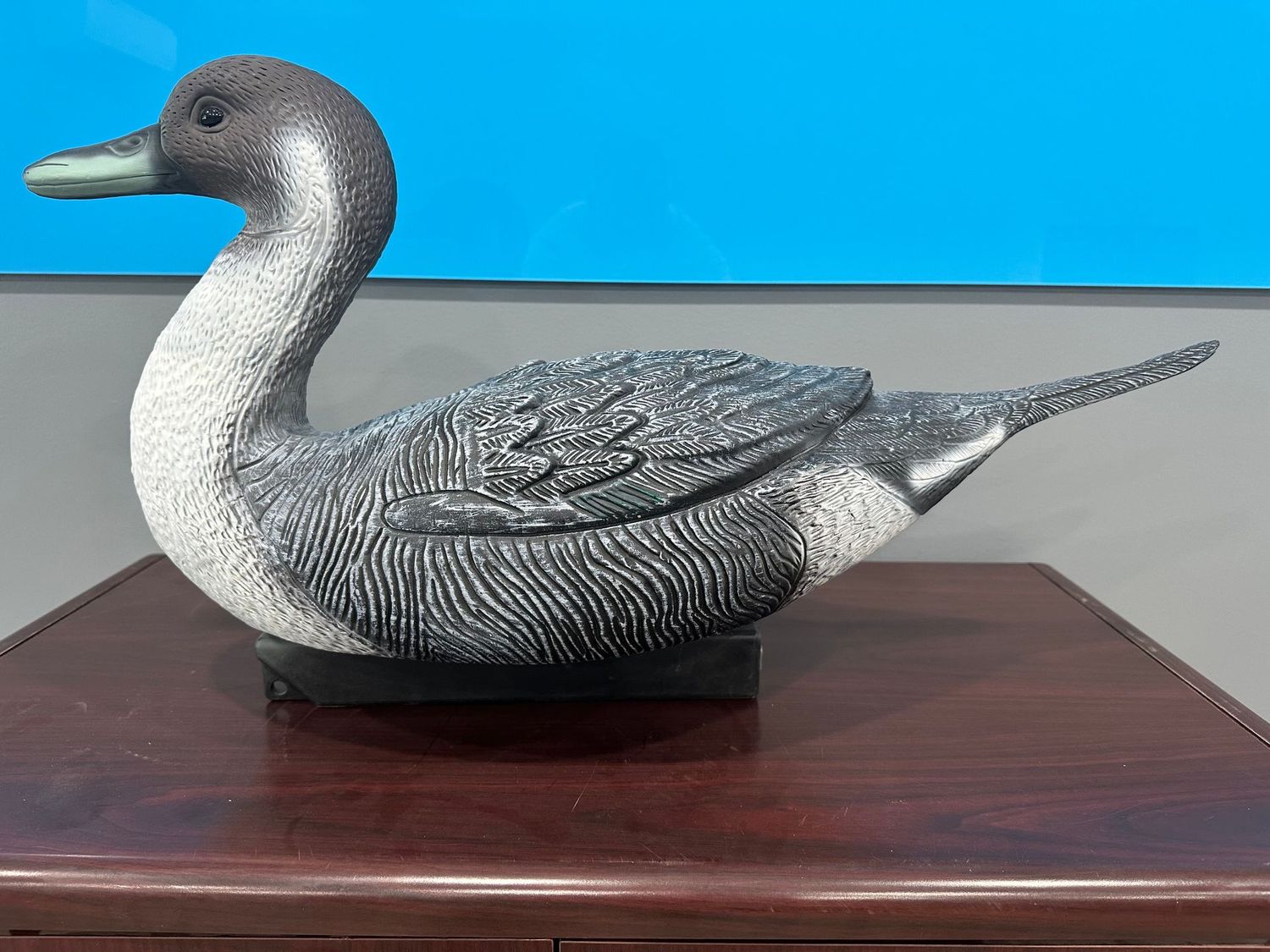 QLD Pintail Decoy