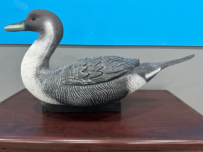 QLD Pintail Decoy
