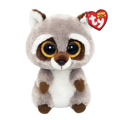 RACCOON TEACHER GIFT