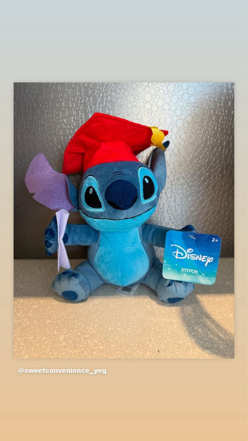 DISNEY GRADUATION STITCH