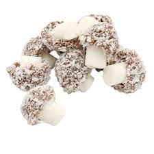 TRAVENERS BULK COCONUT MUSHROOMS