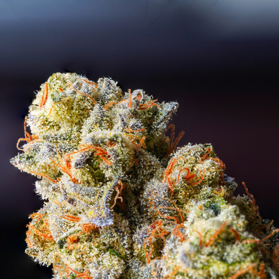 Combustion