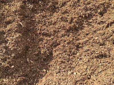 Aged Forest Mulch  (Loose Tip)